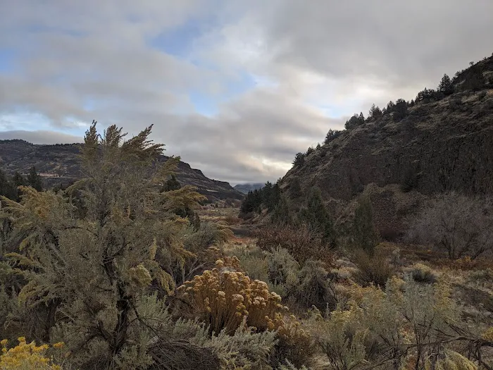 Muleshoe Campground Picture 7