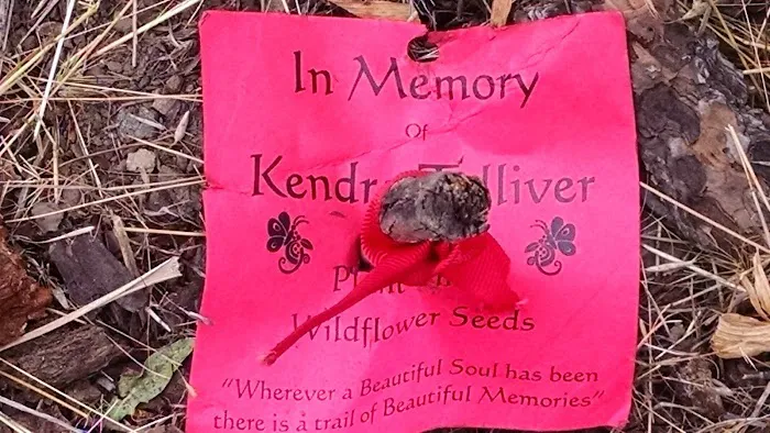 Shelton Wayside Park Picture 7