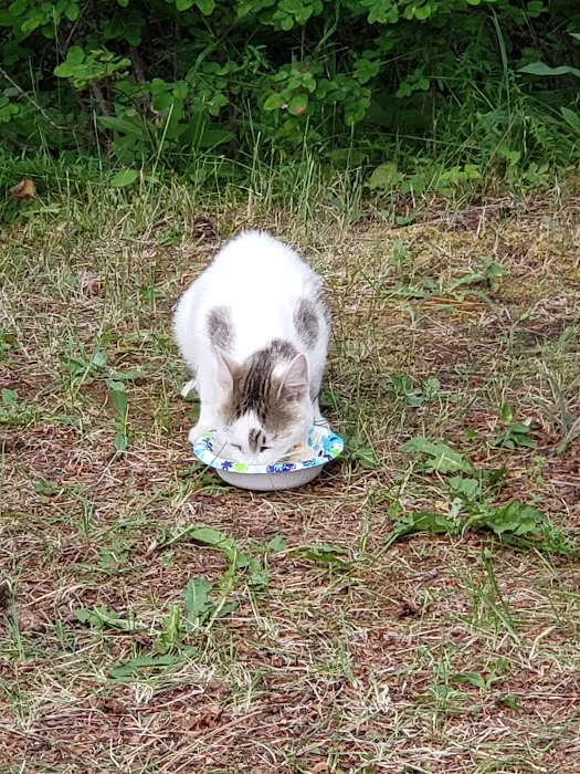 Shelton Wayside Park Picture 4