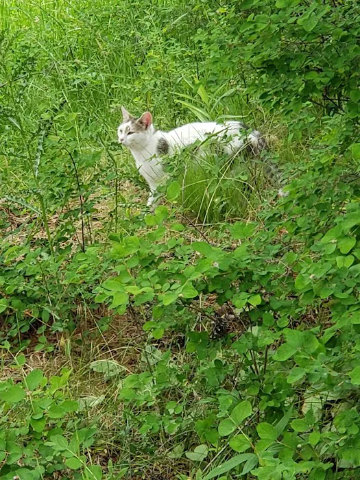 Shelton Wayside Park Picture 10
