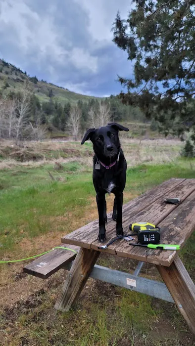 Lone Pine Campground Picture 1