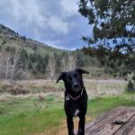 Lone Pine Campground