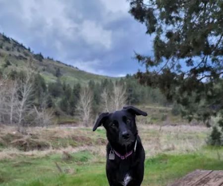 Lone Pine Campground