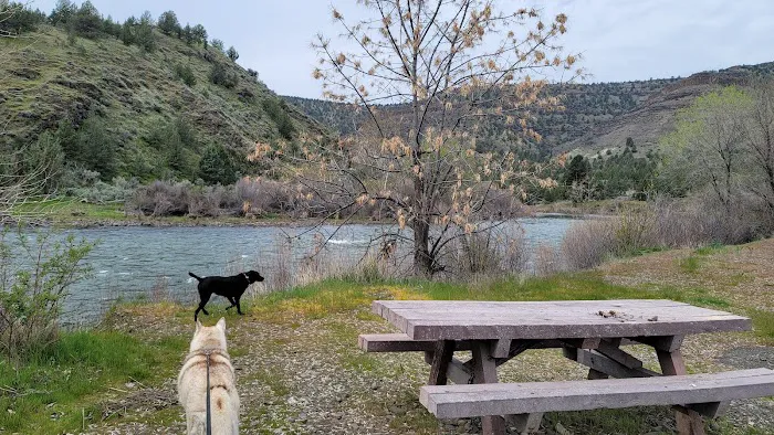 Lone Pine Campground Picture 2