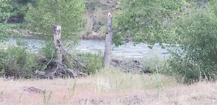 Lone Pine Campground Picture 7