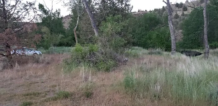 Lone Pine Campground Picture 8