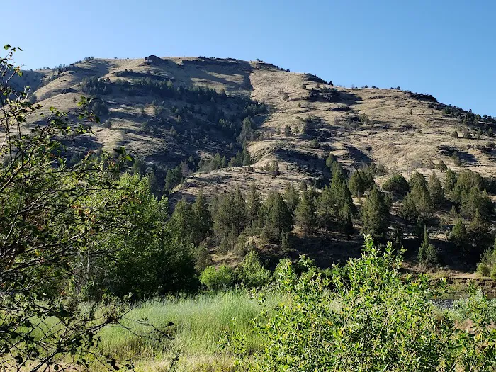 Lone Pine Campground Picture 5