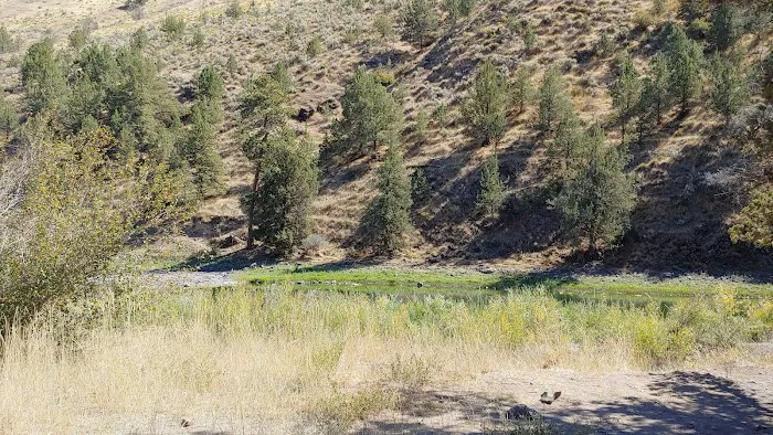 Big Bend Campground Picture 4