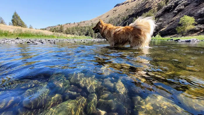 Big Bend Campground Picture 5