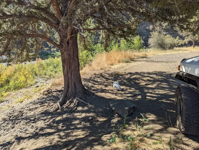 Big Bend Campground Picture 6