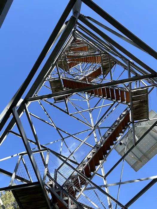 Tamarack Lookout Cabin Picture 6