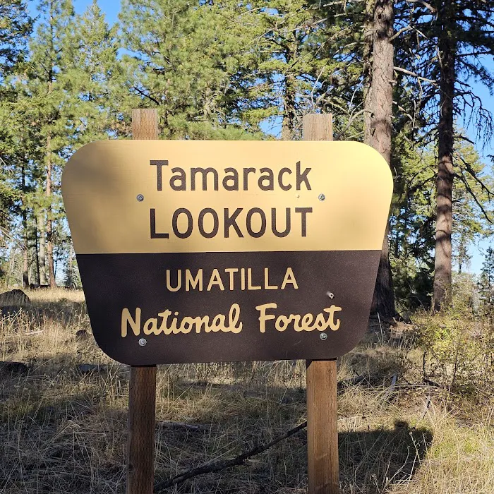 Tamarack Lookout Cabin Picture 5