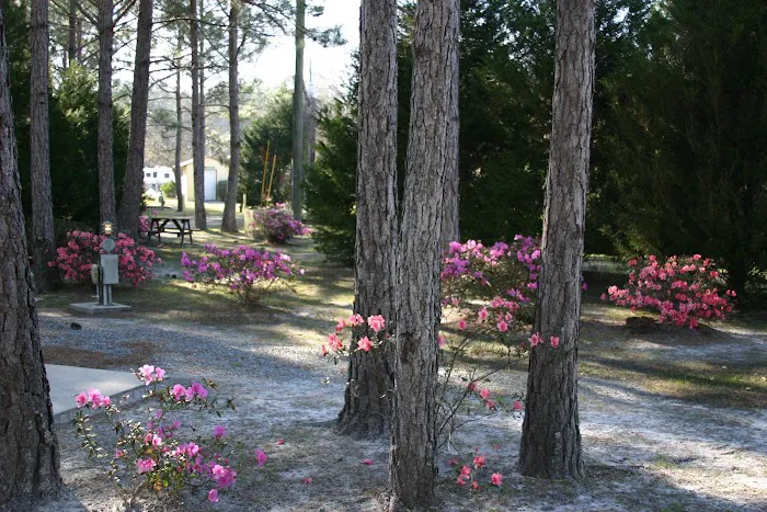 Lake City RV Resort Picture 6