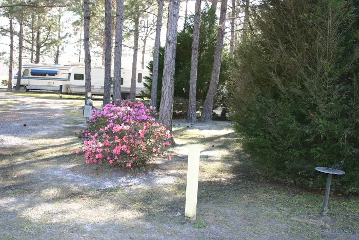 Lake City RV Resort Picture 10