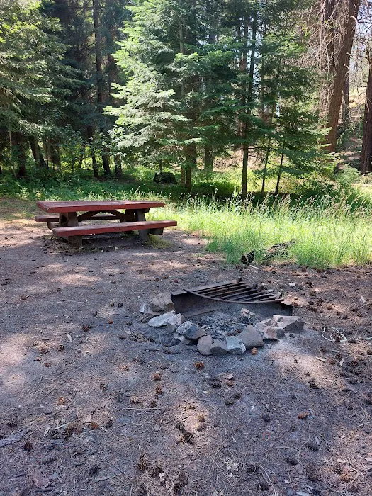 Bear Hollow Park Picture 1