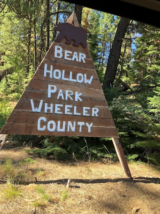 Bear Hollow Park Picture 2