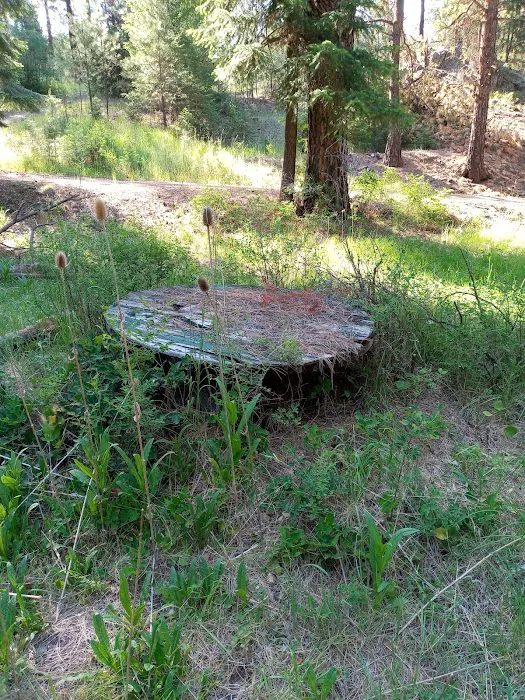 Bear Hollow Park Picture 9