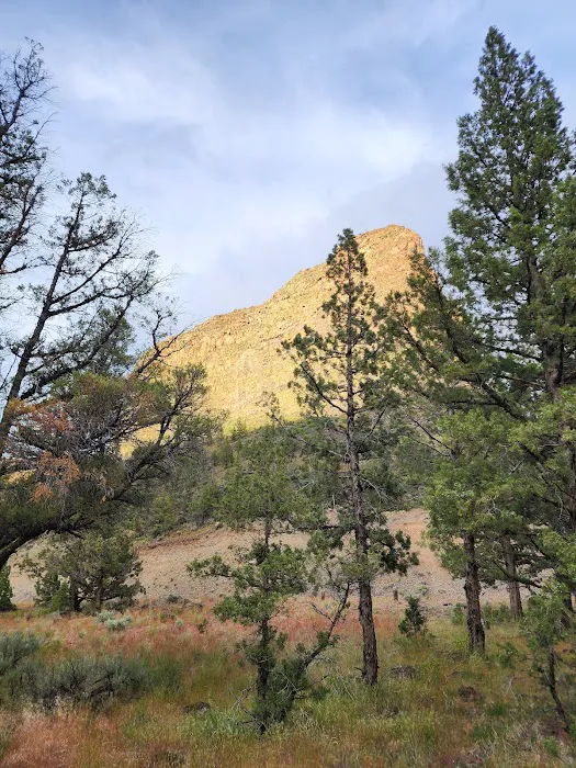 Castle Rock Campground Picture 8