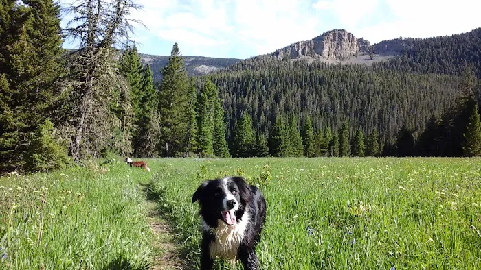 The Crystal Lake Group Campground Picture 1