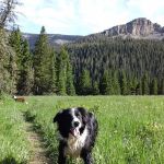 The Crystal Lake Group Campground