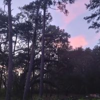 Edgewater mobile home park ico