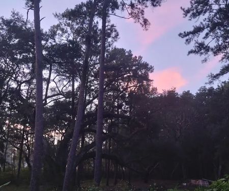 Edgewater mobile home park