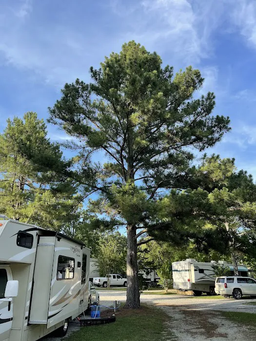 Natchez Trace RV Park Picture 4