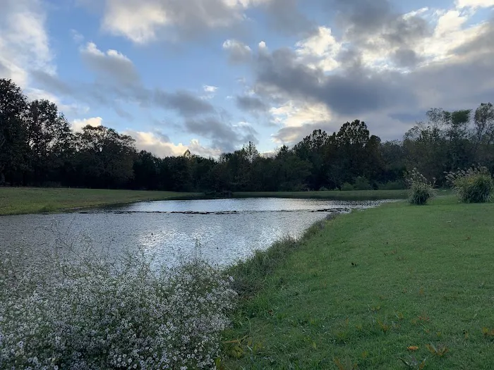 Natchez Trace RV Park Picture 6