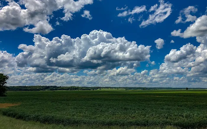 Natchez Trace RV Park Picture 10