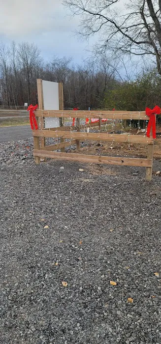 The Right Spot RV Park Picture 10