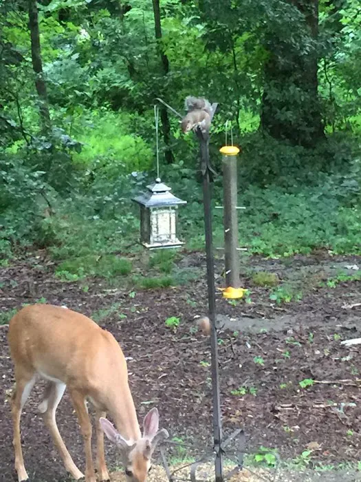 Weatherly Estates Picture 2