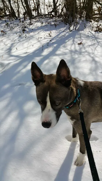 Bell Crossing Picture 7