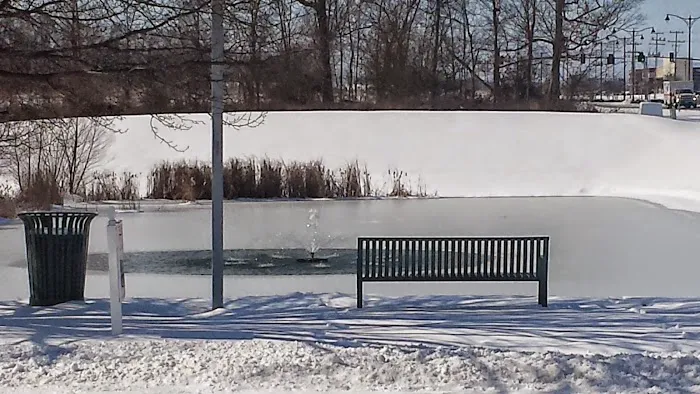 Bell Crossing Picture 8