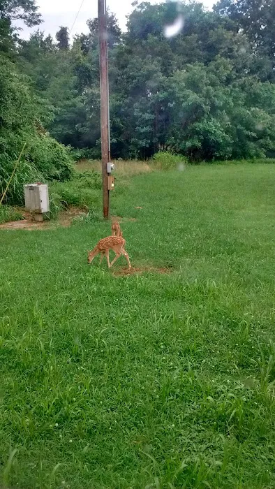 Terrell's Mobile Home Park Picture 2