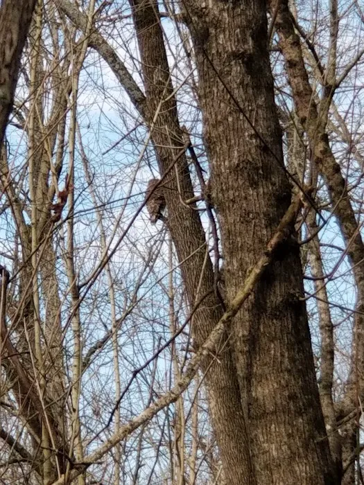 Spring Creek Campground Picture 8