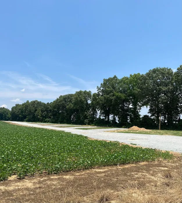 Littlejohn Lane RV Park Picture 3