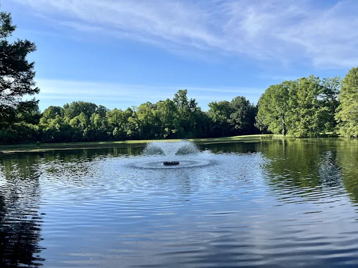 Serendipity Brownsville's Venue, Resort, and RV Park Picture 6