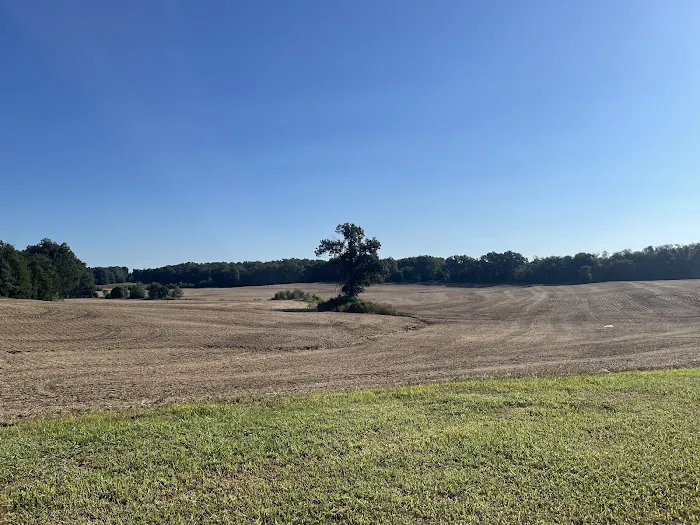 Blue Acres RV Park Picture 7