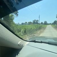 Bear Creek Trailer Park ico