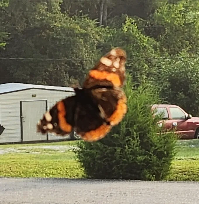 Bear Creek Trailer Park Picture 4