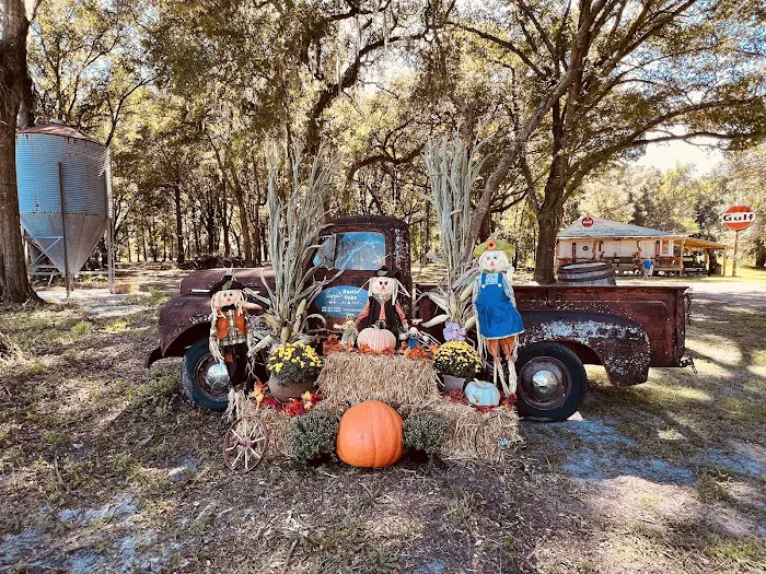Rustic Oaks RV Park, LLC Picture 7