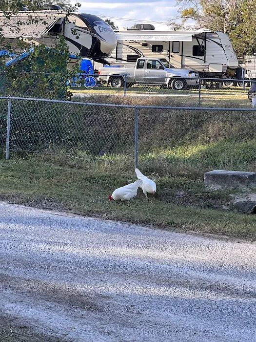 Casey Jones Campgrounds Picture 5
