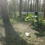 Rose Creek Mobile Home Park