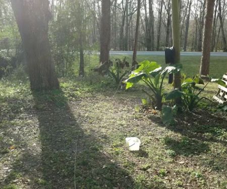 Rose Creek Mobile Home Park