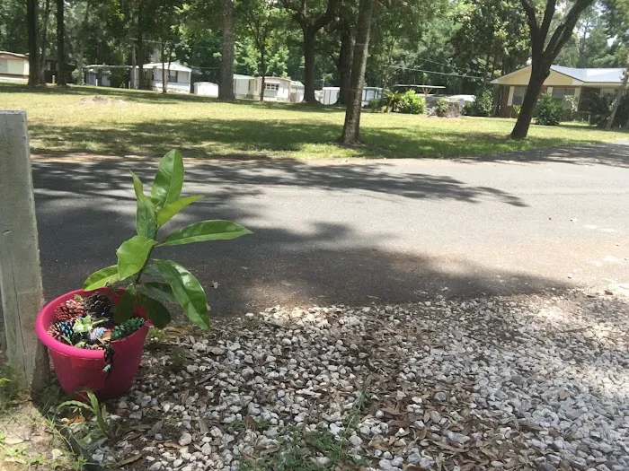 Rose Creek Mobile Home Park Picture 6