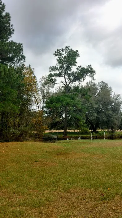 Rose Creek Mobile Home Park Picture 10