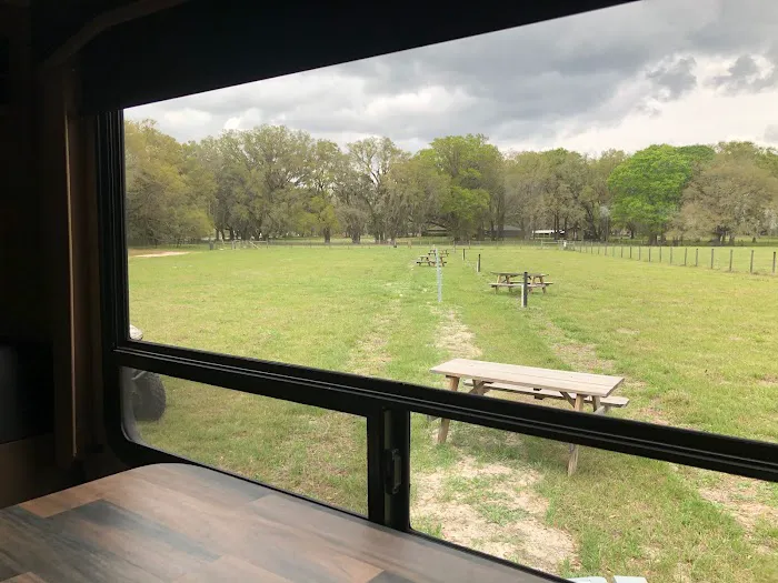 Red Rooster RV Park Picture 4