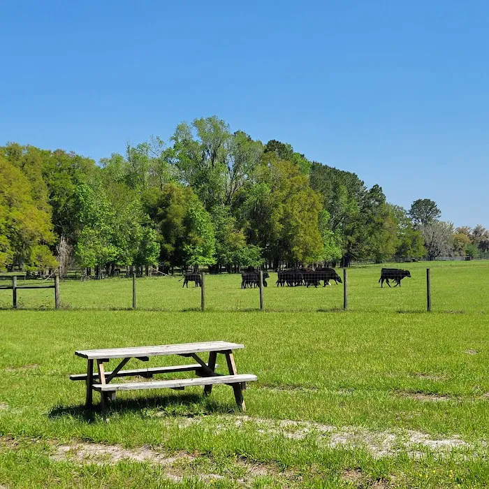 Red Rooster RV Park Picture 1