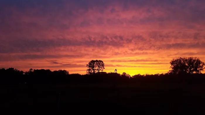 Red Rooster RV Park Picture 6