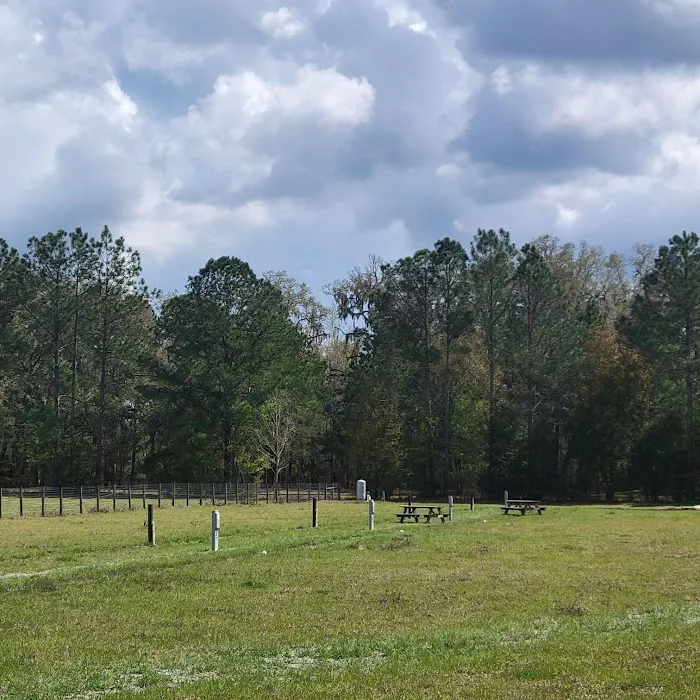 Red Rooster RV Park Picture 10